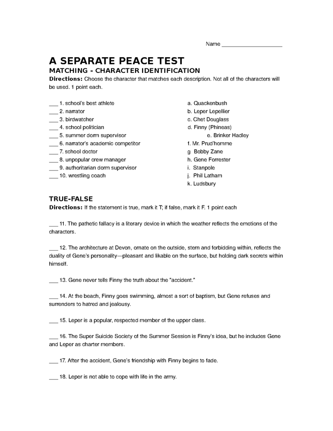 a separate peace comprehensive test preview image 1