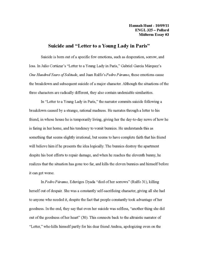 critical analysis essay: 100 years of solitude, pedro paramo, letter to a young lady in paris preview image 1