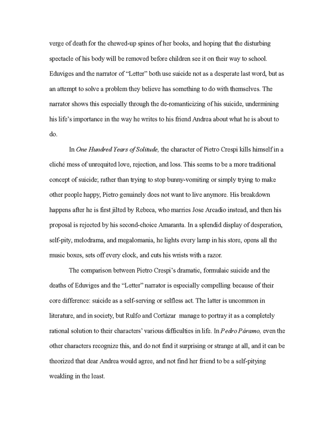 critical analysis essay: 100 years of solitude, pedro paramo, letter to a young lady in paris preview image 2