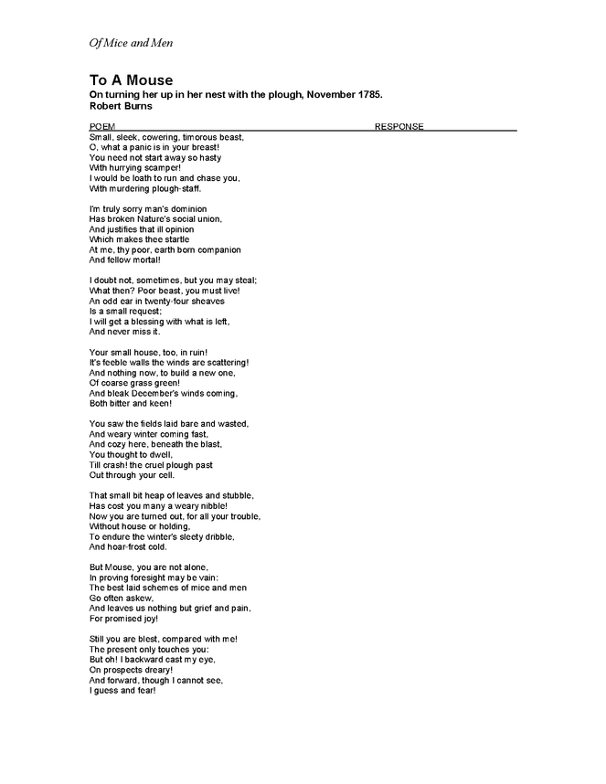 of mice and men to a mouse poem response preview image 2