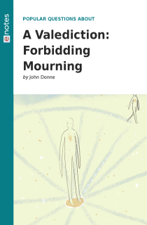 Preview image of Popular Questions About A Valediction: Forbidding Mourning
