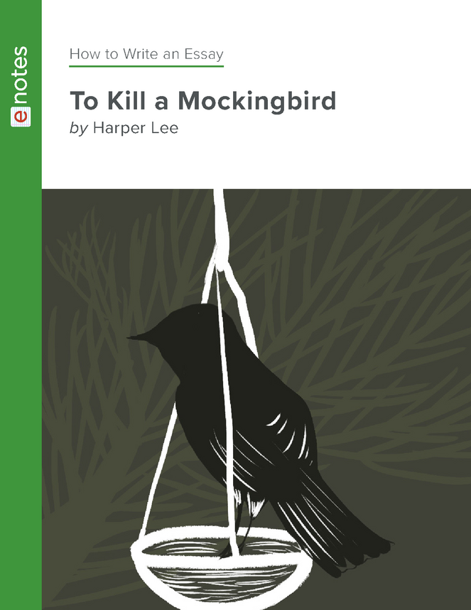 how to kill a mockingbird essay