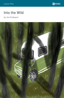 the book cover of Into the Wild eNotes Lesson Plan