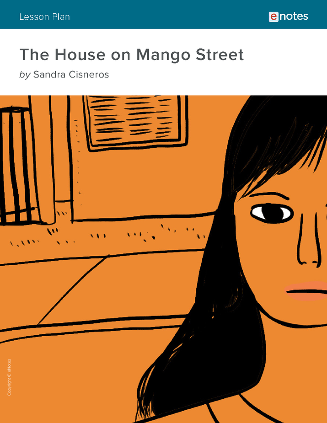 The House On Mango Street Gender Roles Essay Mtso Org Tr