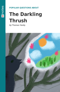 Preview image of Popular Questions About The Darkling Thrush