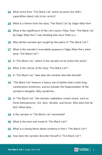 Preview image of Popular Questions About The Black Cat