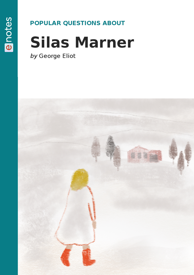 popular questions about silas marner preview image 1