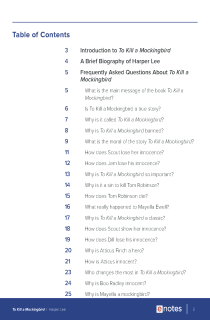 Preview image of To Kill a Mockingbird FAQ Study Bundle