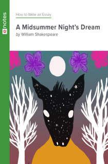 Preview image of How to Write an Essay about A Midsummer Night's Dream