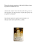 Document cover for Mocking Bird essay