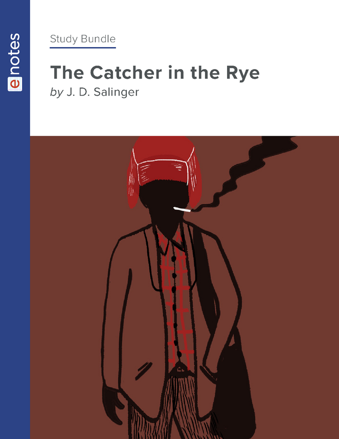 the catcher in the rye faq study bundle preview image 1