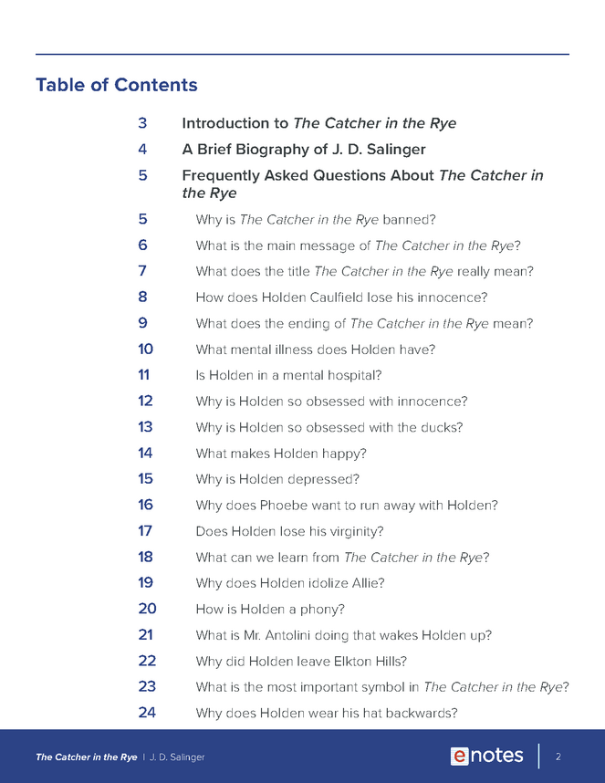 the catcher in the rye faq study bundle preview image 2