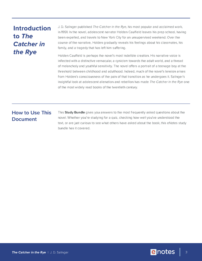 the catcher in the rye faq study bundle preview image 3