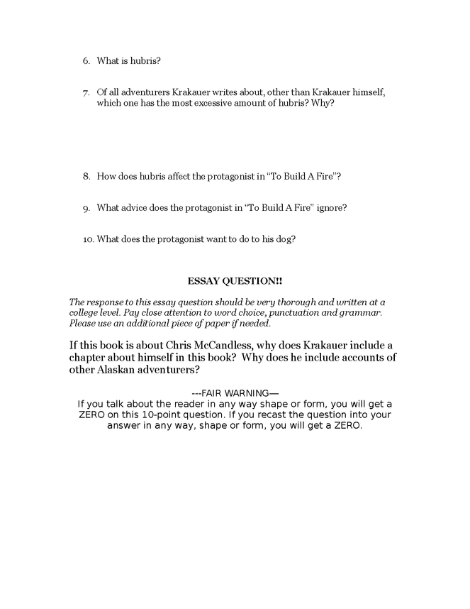 into the wild test to page 144 preview image 2