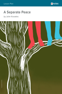 the book cover of A Separate Peace eNotes Lesson Plan