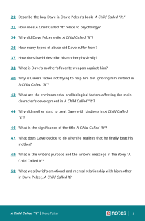 Preview image of Popular Questions About A Child Called "It"