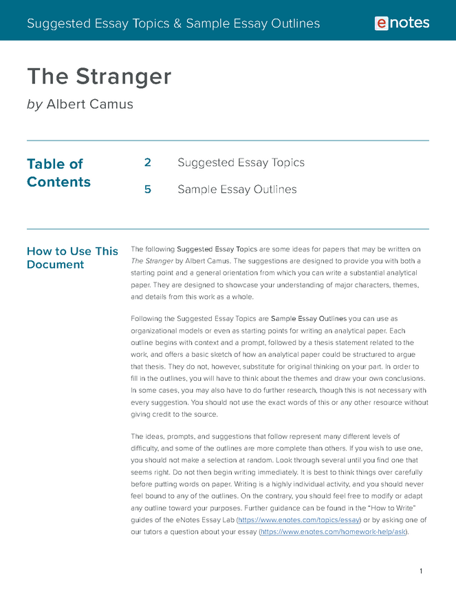 the stranger essay topics