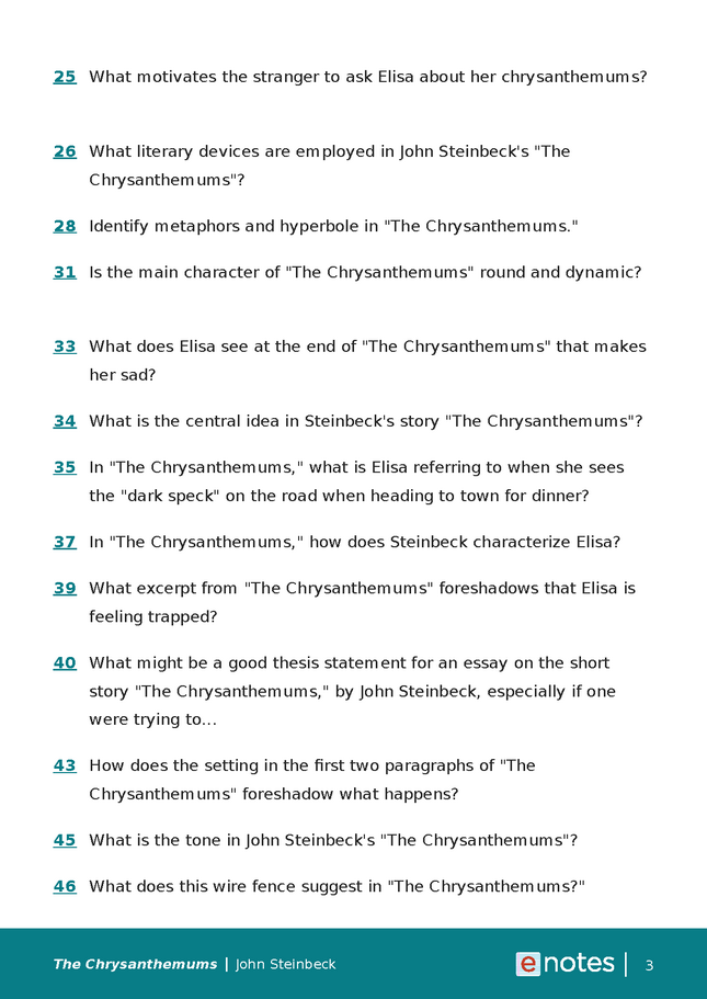 popular questions about the chrysanthemums preview image 3