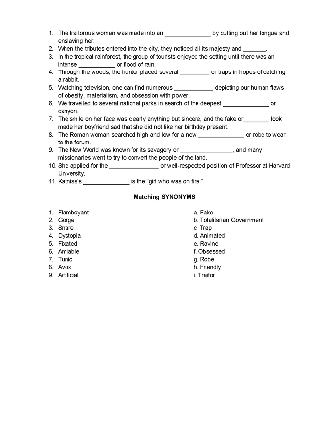 hunger games vocab with quizzes p1-100 preview image 5