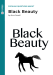 Document cover for Popular Questions About Black Beauty