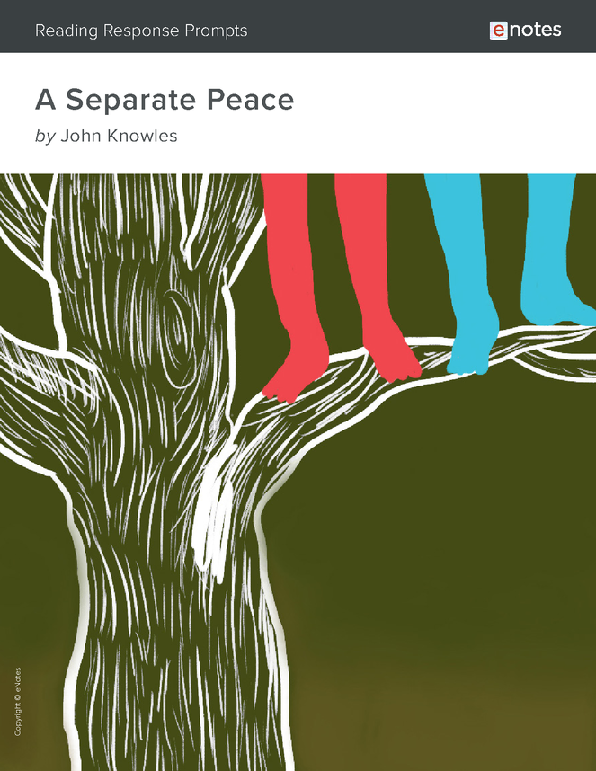 a separate peace enotes reading response prompts preview image 1