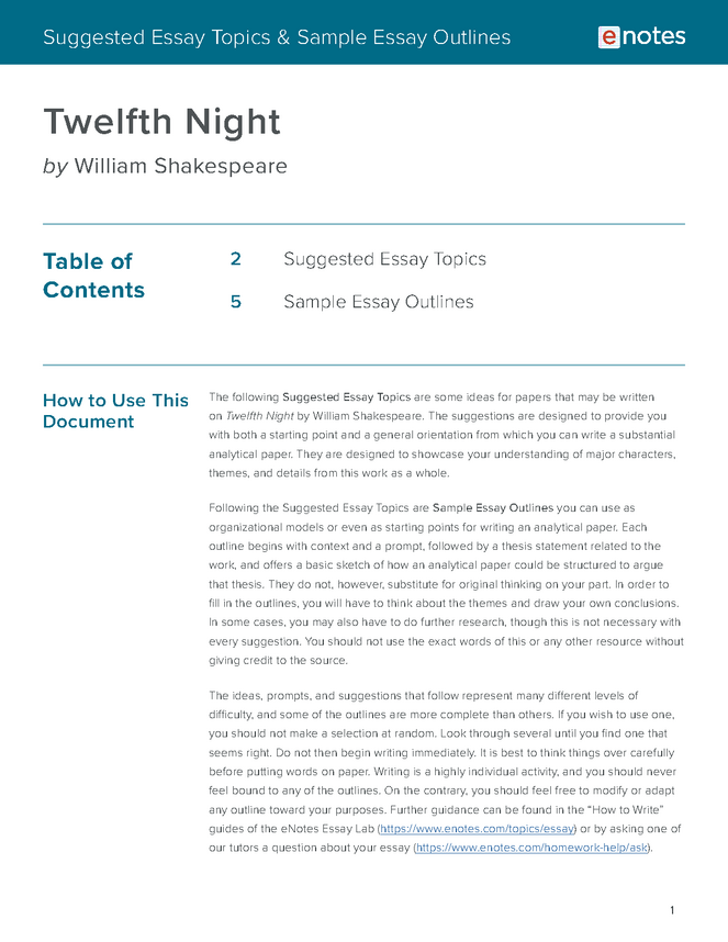 the twelfth night essay