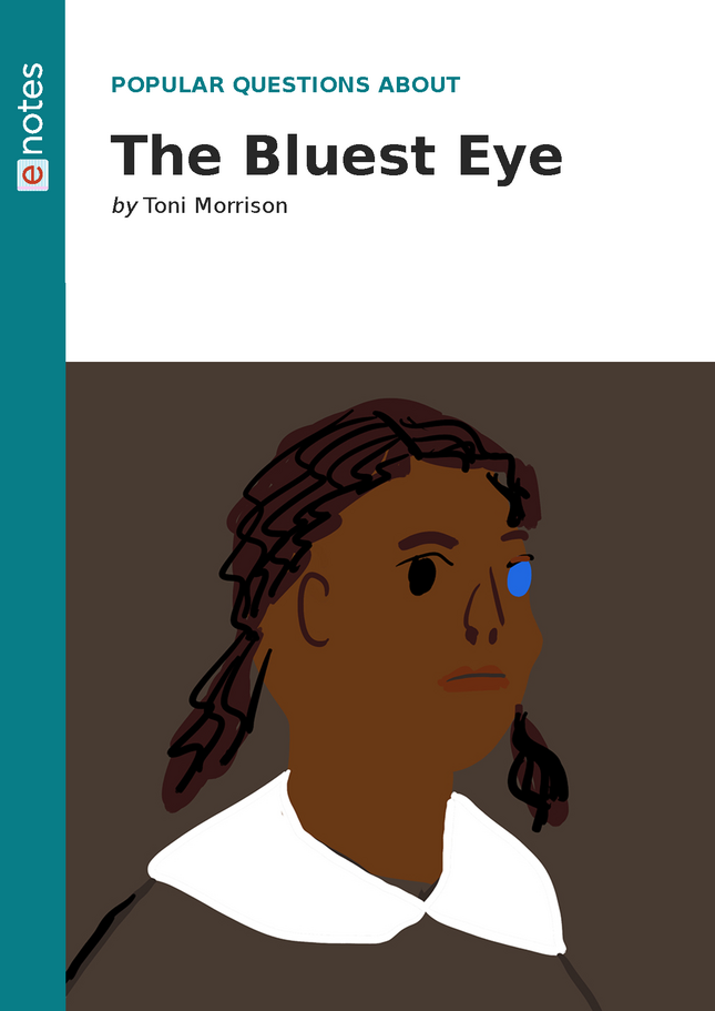 essay type questions on bluest eye