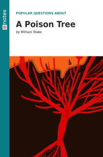 the book cover of Popular Questions About A Poison Tree