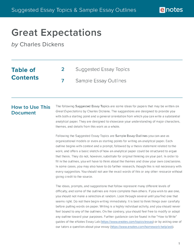 essay topics about great expectations