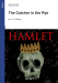 Document cover for Hamlet Essay Topics and Outlines