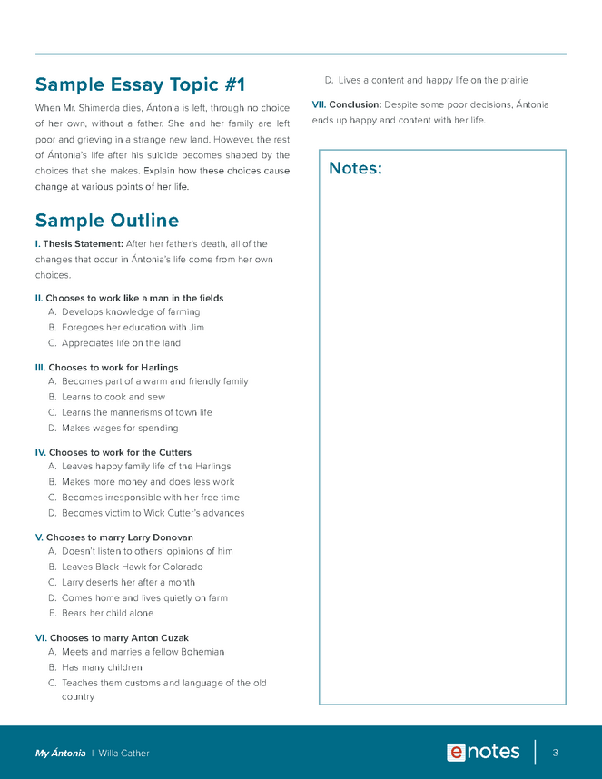 my antonia essay topics and outlines preview image 3