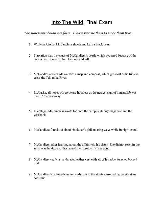 into the wild final exam preview image 1