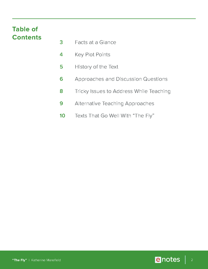 the fly enotes teaching guide preview image 2