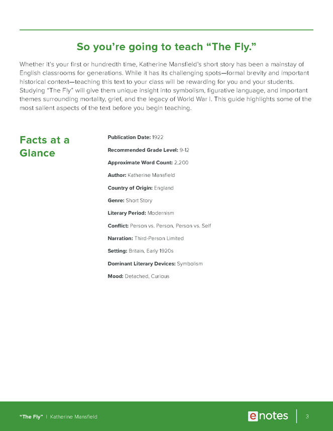 the fly enotes teaching guide preview image 3