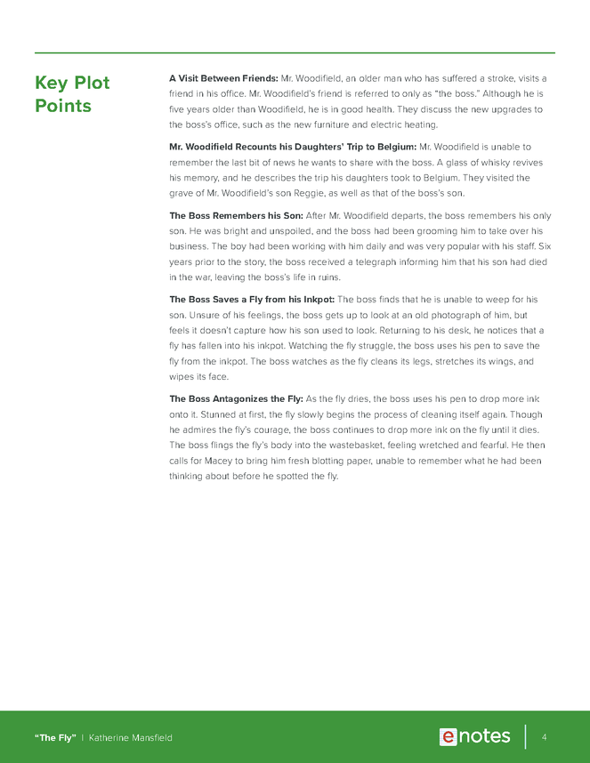 the fly enotes teaching guide preview image 4