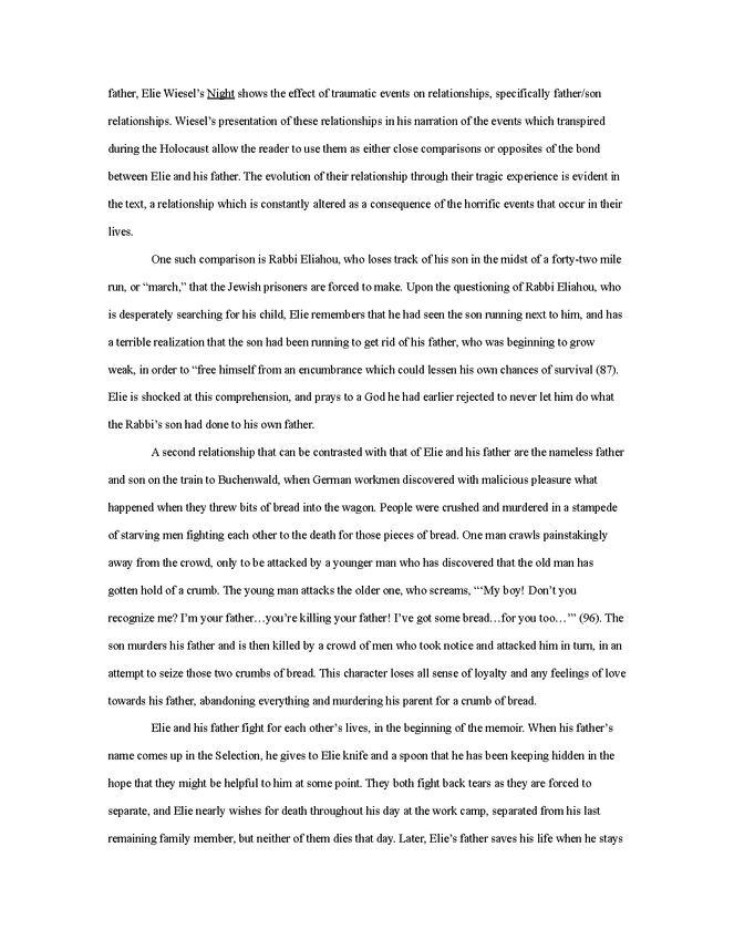 critical analysis essay: night preview image 2