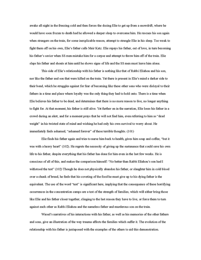 critical analysis essay: night preview image 3