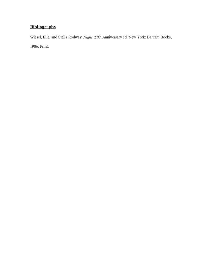 critical analysis essay: night preview image 4