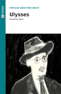 Preview image of Popular Questions About Ulysses