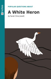 Preview image of Popular Questions About A White Heron