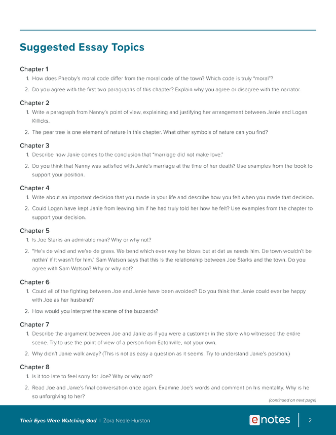 Their Eyes Were Watching God Essay Topics and Outlines - eNotes.com