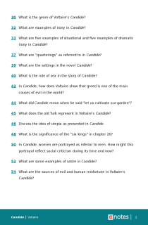 Preview image of Popular Questions About Candide