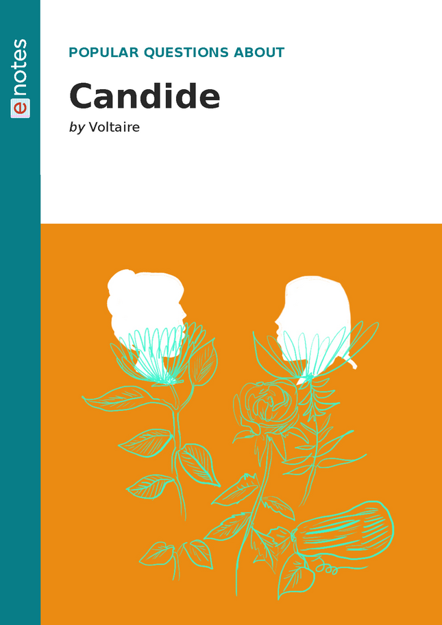 popular questions about candide preview image 1