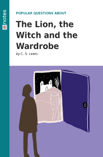 the book cover of Popular Questions About The Lion, the Witch and the Wardrobe