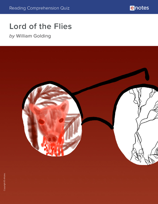 lord of the flies reading comprehension quiz preview image 1