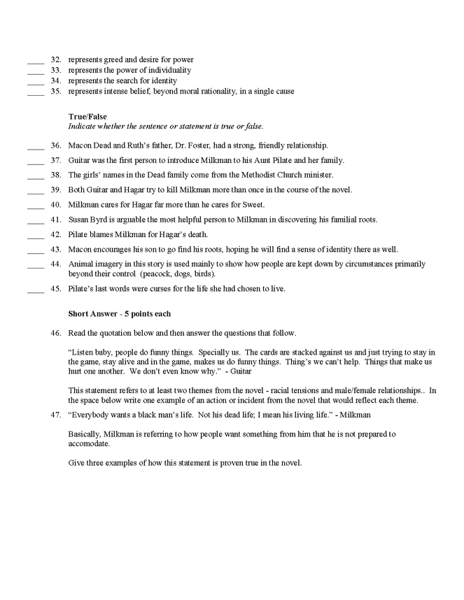 test - toni morrison's song of solomon preview image 3