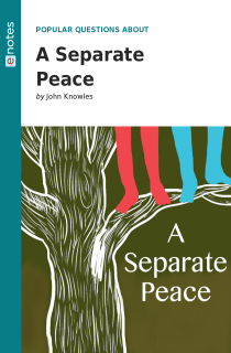 Preview image of Popular Questions About A Separate Peace