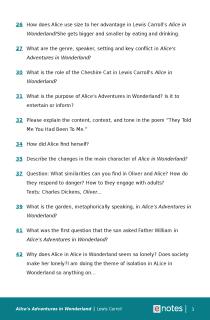 Preview image of Popular Questions About Alice's Adventures in Wonderland