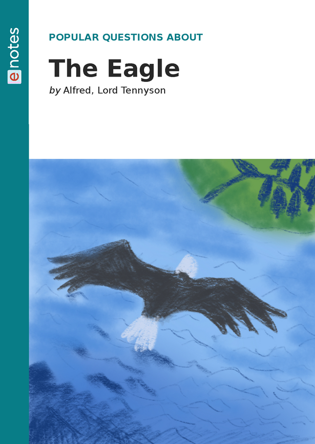 popular questions about the eagle preview image 1
