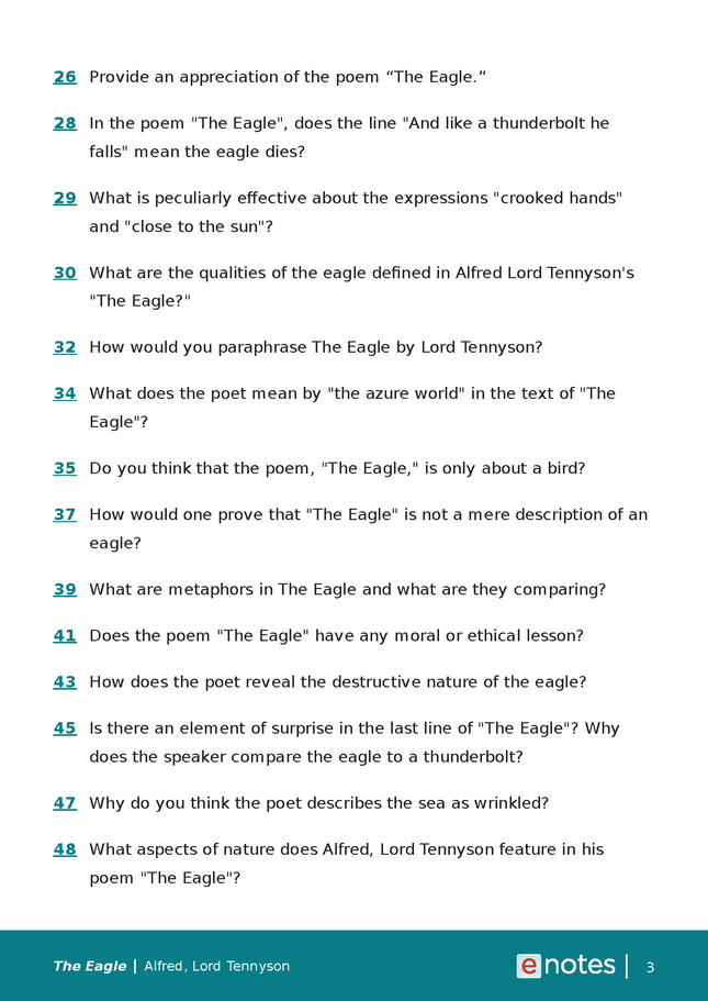 popular questions about the eagle preview image 3